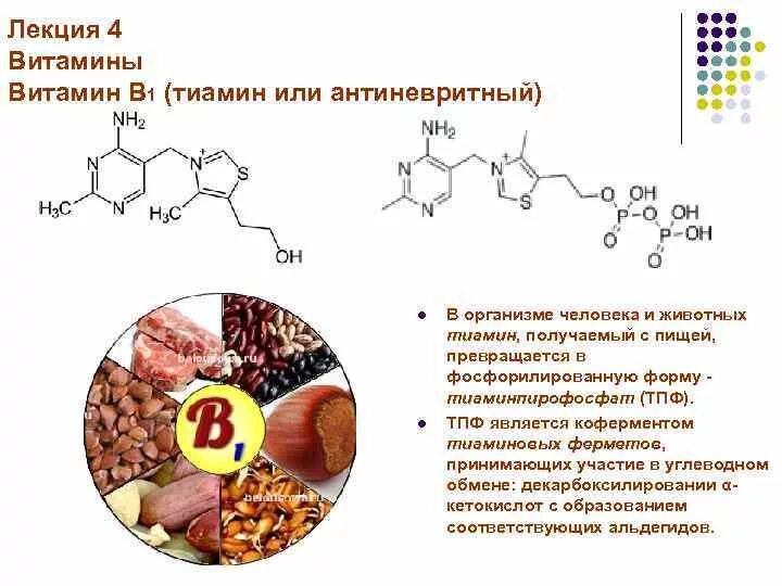 Тиамин определение. Витамин в1 (тиамин) - антиневритный витамин. витамин b1 тиамин источники. витамин b1 тиамин пирофосфат.