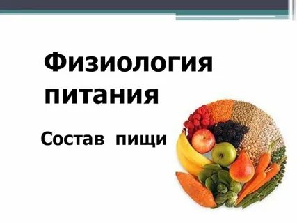 Физиология питания