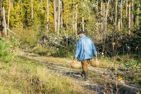 В лесу и именно