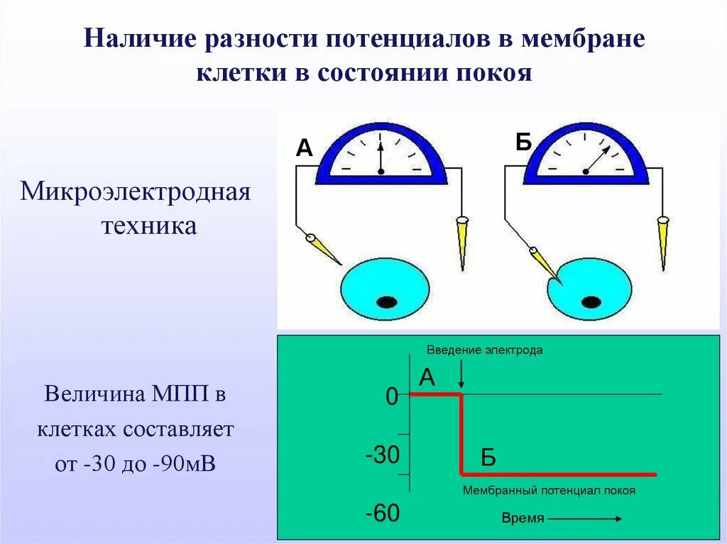 Измерение разности потенциалов. Измерение разности потенциалов схема. Приборы для определения разности потенциалов. Измерительный прибор, измеряющий разность потенциалов. Потенциальный прибор