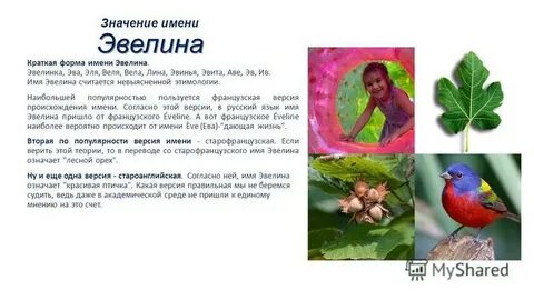 Имена сколько людей с этим именем
