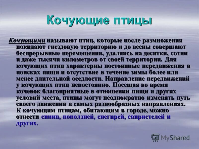 Оседлые особенности. Кочующие птицы. Почему птиц называют перелетными. Доклад о кочующих птицах. Кочующие птицы для дошкольников.