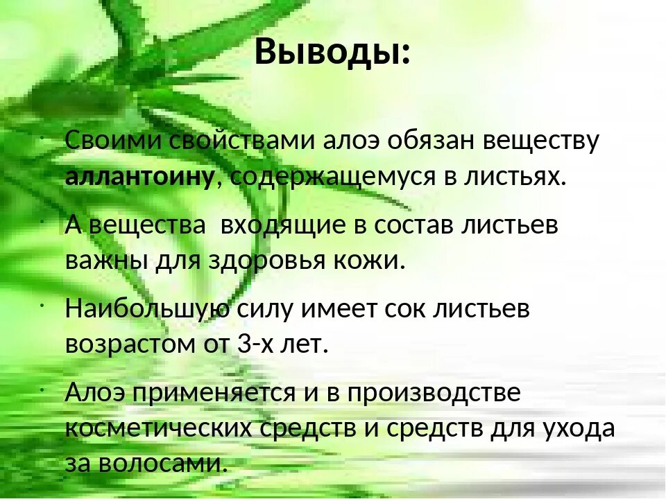 Выберите признаки приспособленности алоэ к недостатку влаги. Проект про алоэ. Вывод алоэ. Проект на тему алоэ – зелёный доктор на подоконнике. Алоэ среда обитания.