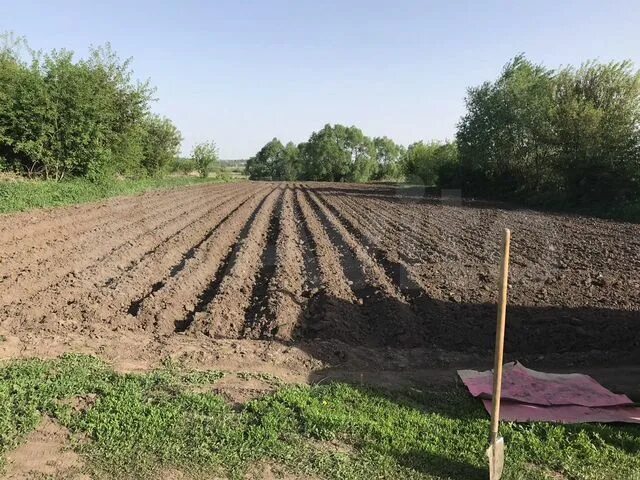 Участок рыбное. Участок рыбное