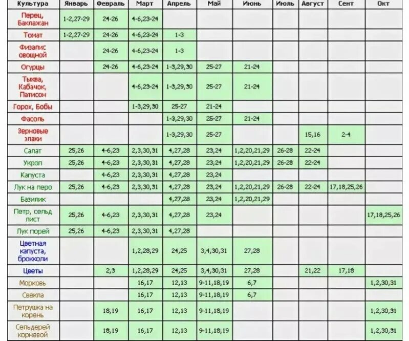 В каком месяце можно высаживать. Таблица посева семян на рассаду в открытый грунт. Таблица посадки овощей в открытый грунт. Таблица по срокам посева семян на рассаду. Сроки посадки овощей таблица.