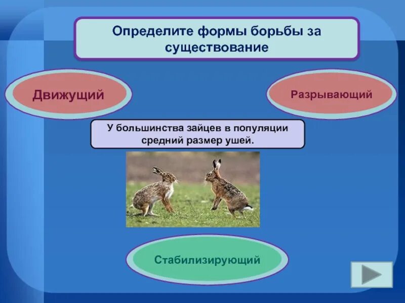 Формы формы борьбы за существование. Естественный отбор движущий и стабилизирующий. Естественный отбор это в биологии. Естественный отбор по биологии. Формы борьбы за существование биология таблица