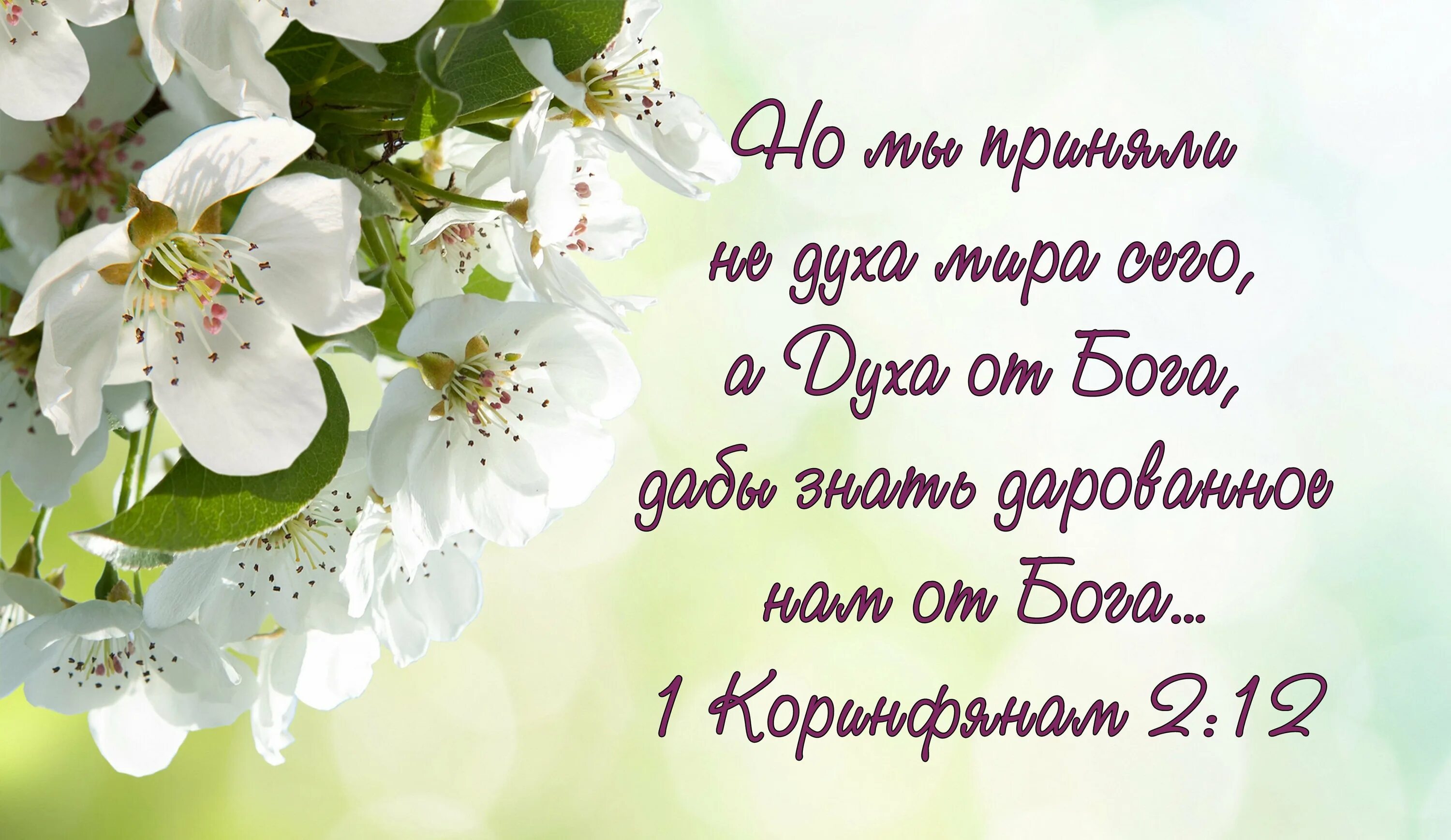 Христианские открытки