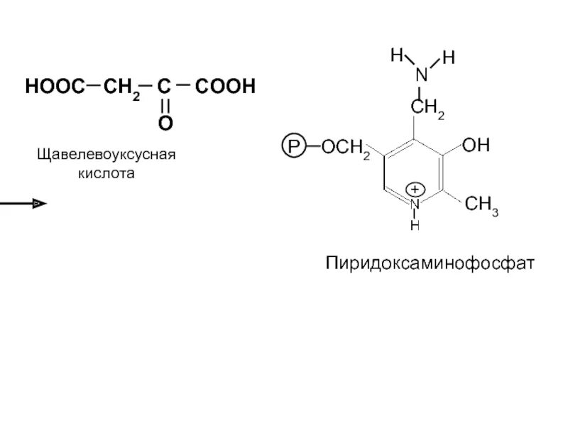 Hooc ch2 c