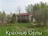Д красные орлы