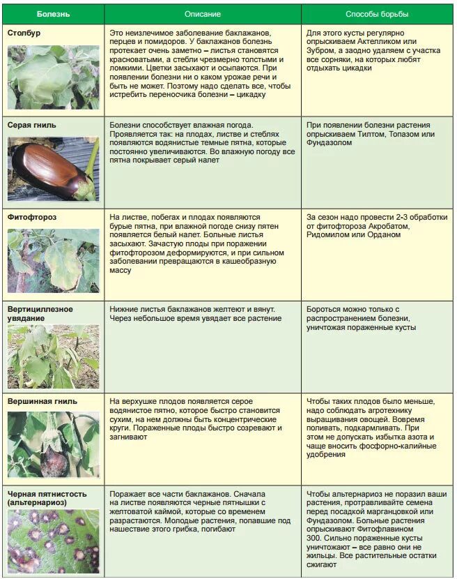 Вредители и болезни растений. Обработка овощей от вредителей и болезней. Болезни огурцов таблица. Болезни и вредители растений таблица. Когда можно обрабатывать яблони от вредителей