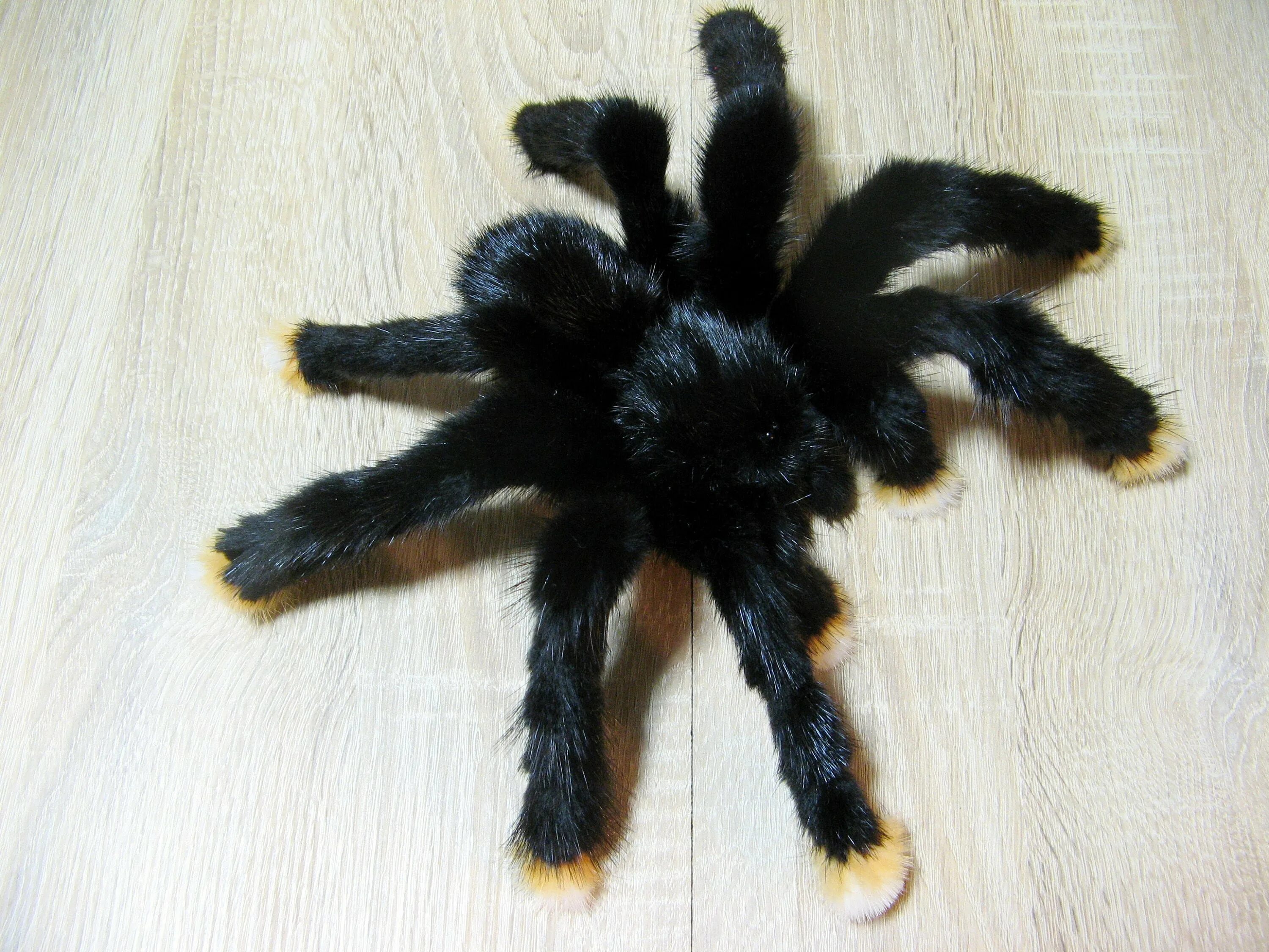 Домашние пауки купить. Паук Тарантул домашний. Тарантул черный маленький. Мизгирь паук домашний черный. Ostearius melanopygius паук.