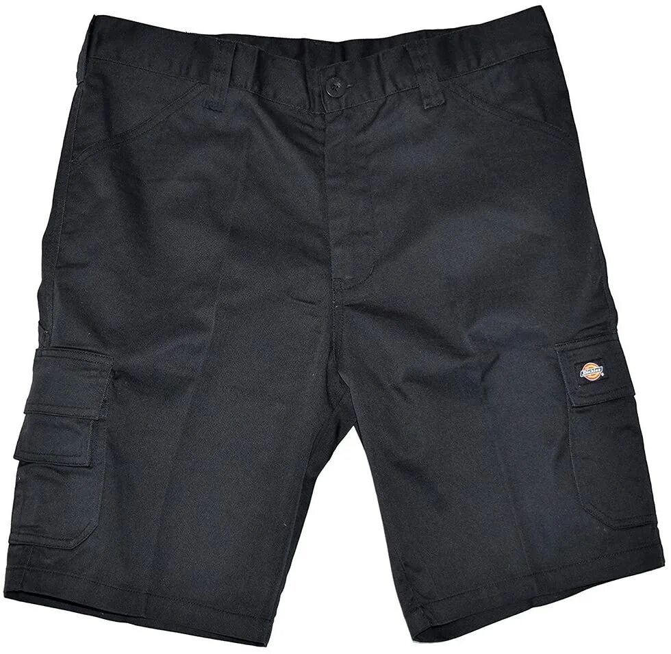 Sh short. Dickies Canyon шорты. Шорты Dickies Temp 365 short. Шорты Dickies short dkda400usg401. Шорты Dickies short Graphite.