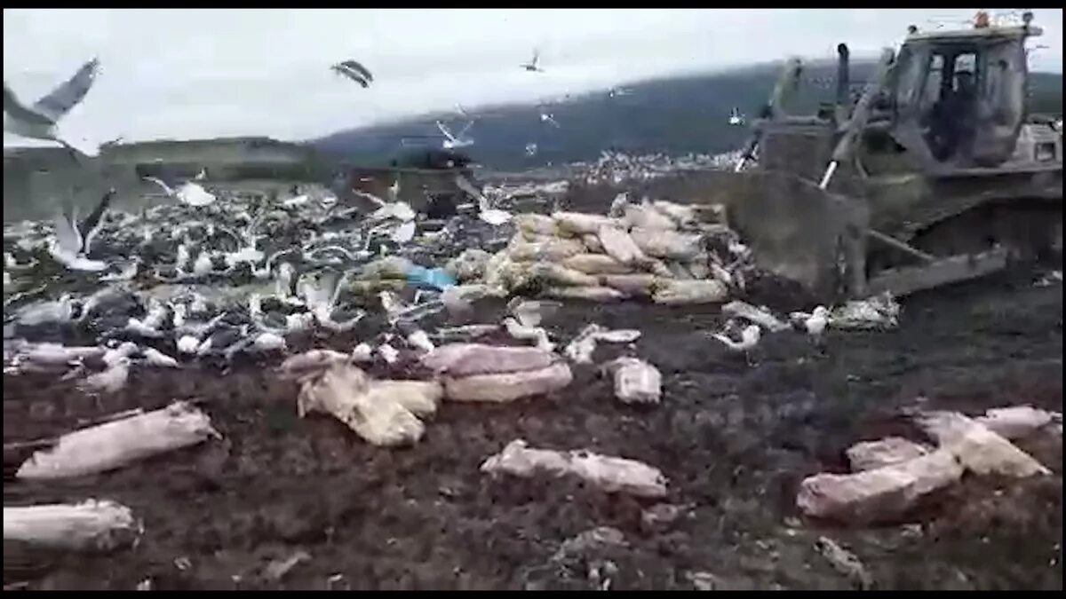 Атака титанов 139. Остров парадиз из атаки титанов. Парадиз уничтожили. Эрен и rumbling. Парадиз уничтожили.