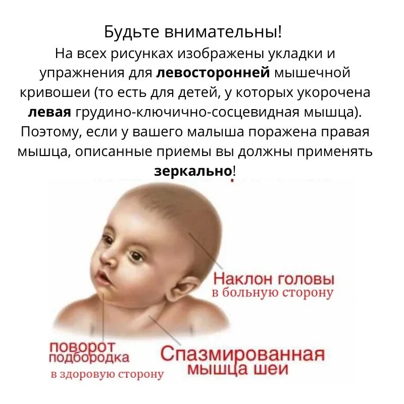 У ребенка нет шеи