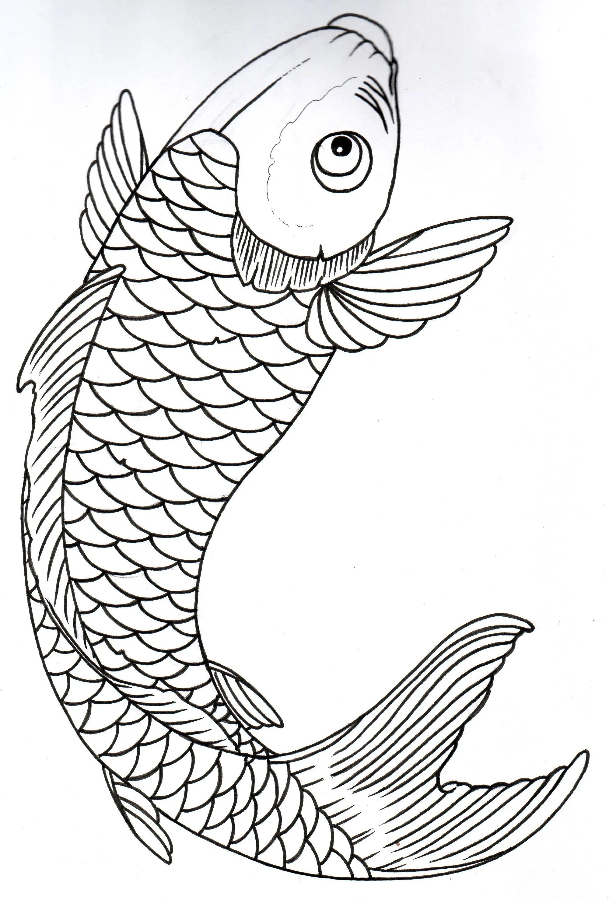 Рисунки рыбок для срисовки. Рыбки для срисовки карандашом. Наброски для рисования рыб. Рисунок рыбы для срисовки. Нарисовать рисунок рыбу