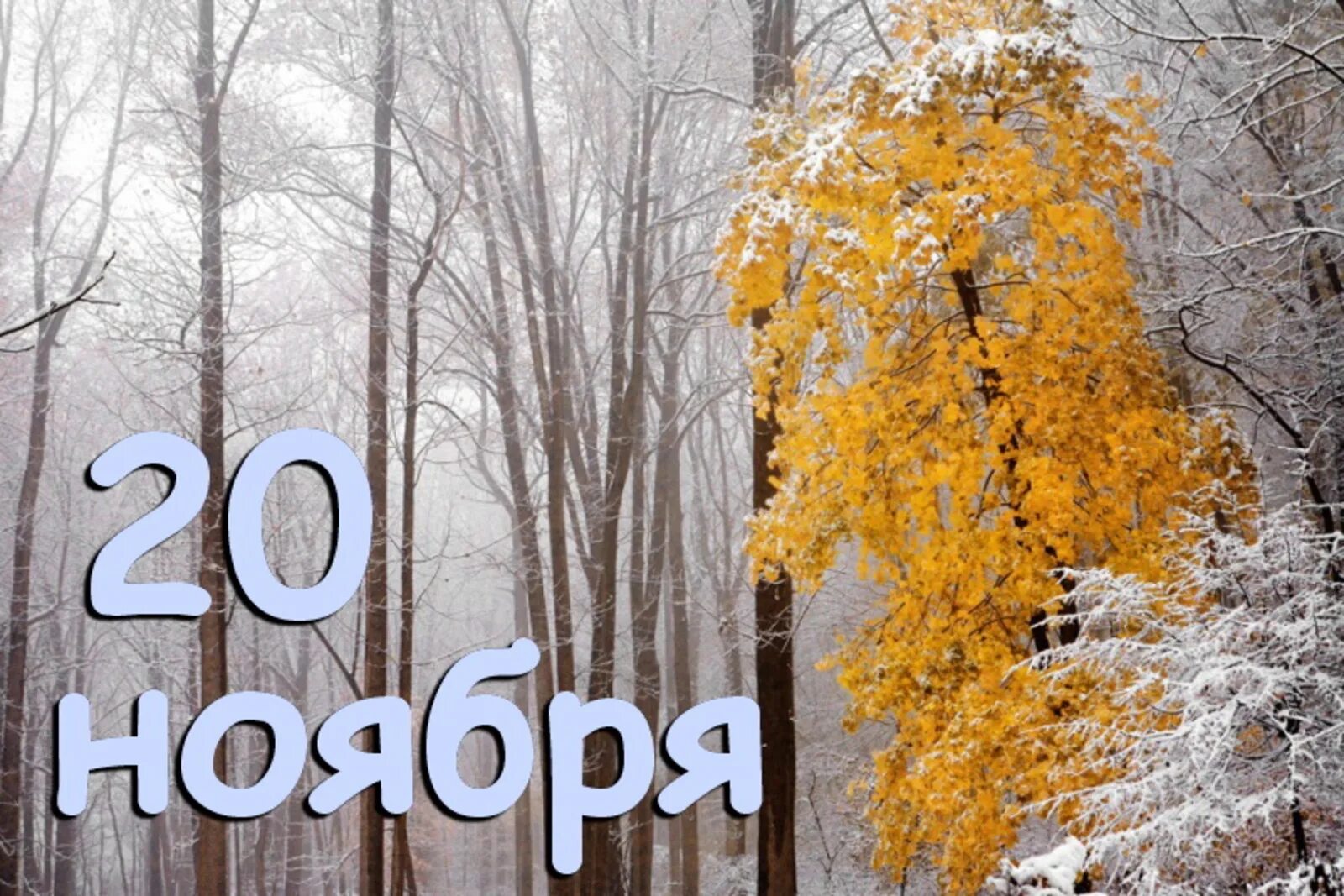 20 ноября всемирный день ребенка. 20 ноября 2015 год. 20 ноября всемирный день ребенка. С днем детей. 20 ноября 2015 год.