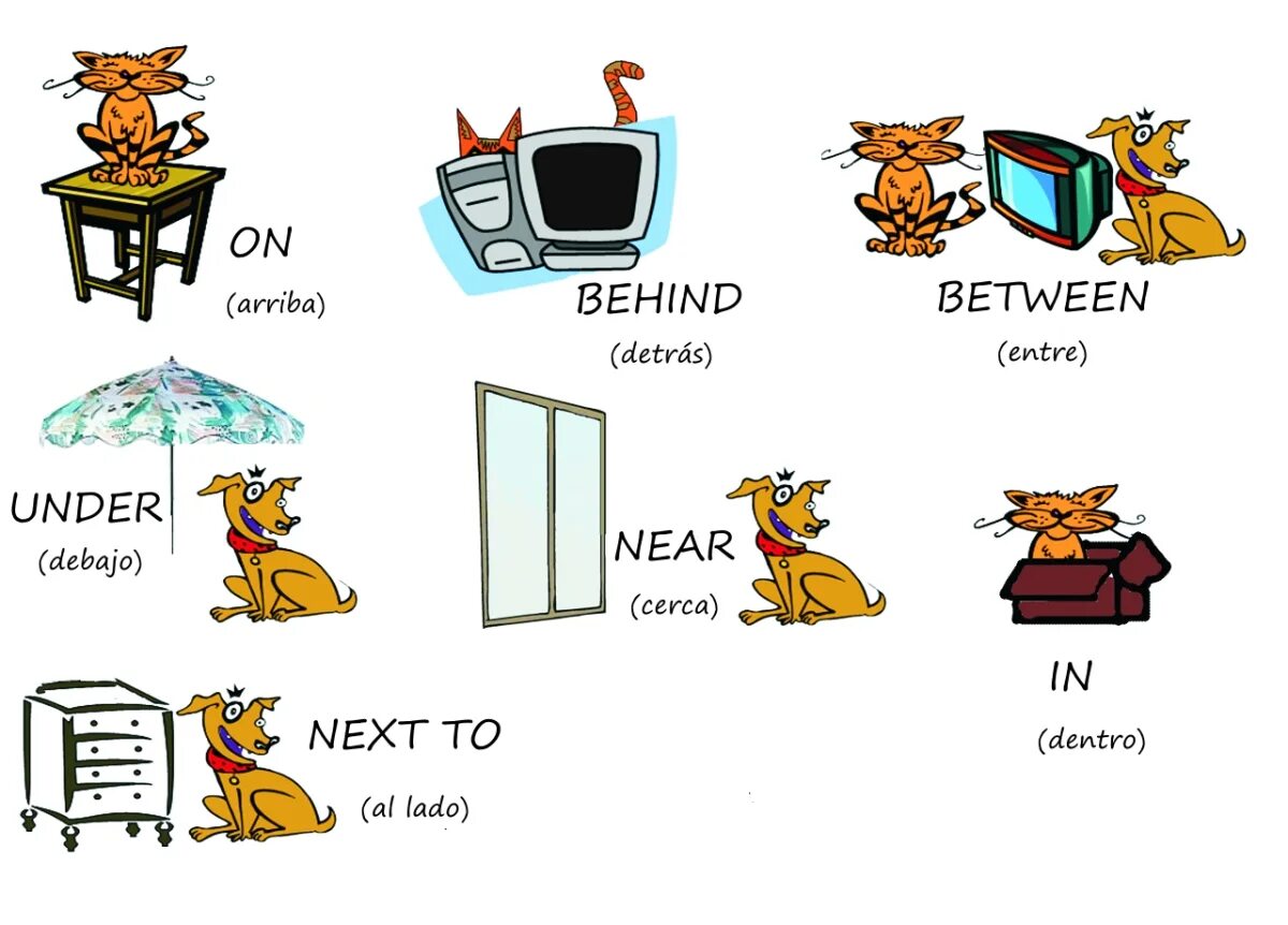 Behind next to wordwall. Предлоги в английском языке in on under behind next to in front of. prepositions of place для детей. английский язык prepositions of place. предлоги on in under near.