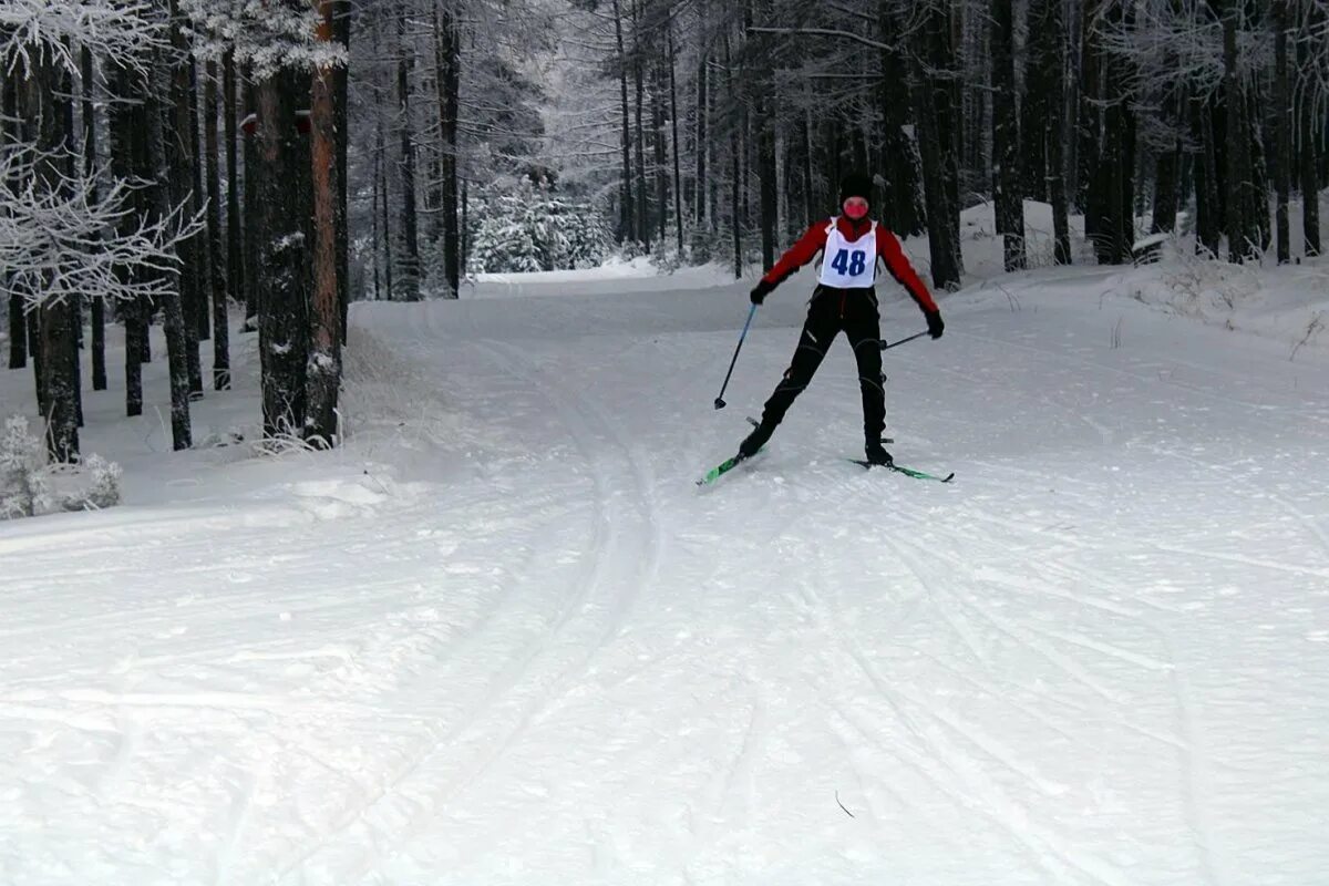 Биатлонная трасса в лужниках. Лыжная трасса в лужниках. Биатлонный центр алмаз рязань. Лужники горнолыжный склон. Лыжно-биатлонная трасса в лужниках москва.
