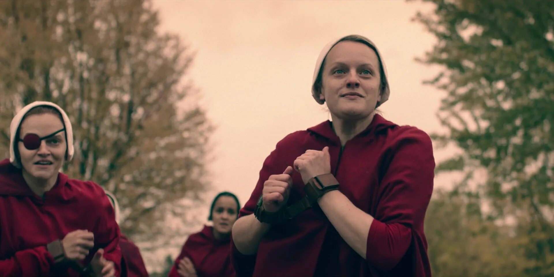 The Handmaid's Tale. Джанин рассказ служанки. Handmaid s tale