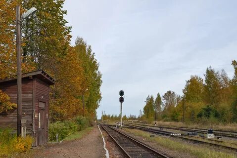 Котово новгородская область
