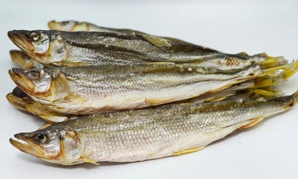 Корюшка европейская osmerus eperlanus. Корюшка балтийская. Озерная малоротая корюшка. Корюшка европейская снеток. Корюшка рыба.