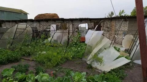 Погода в славянке саратовская область