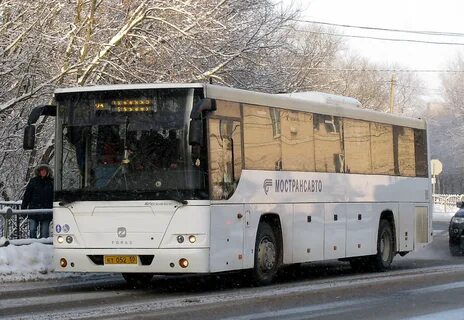 Автобусы плесково ольховая расписание