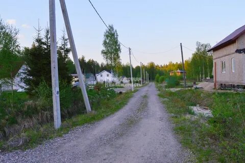 Погода тарасово тосненский ленинградской
