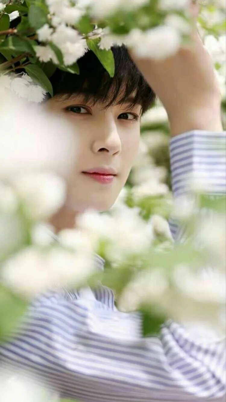 Ча Ыну Astro. Cha Eunwoo. Cha Eunwoo (Astro). Чха Ын у Astro.