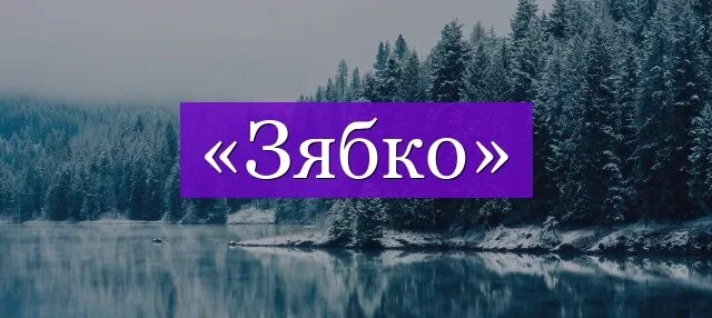 Какое слово. Какое слово пор. В каком слове половина буквы ответ. Какое слово пор. Порой в словах встречаются ужасные согласные.