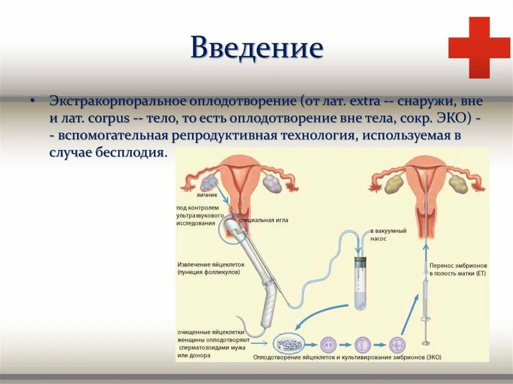 Процесс за которым следует оплодотворение. Искусственное оплодотворение презентация. Искусственная инсеминация. Экстракорпоральное оплодотворение презентация. Эко это искусственное оплодотворение.