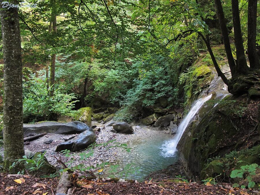 Церковное озеро пшада. Водопады дальний кордон пшада. Село пшада геленджик. Погода пшада на 14 дней краснодарский. Погода пшада на 14 дней краснодарский.