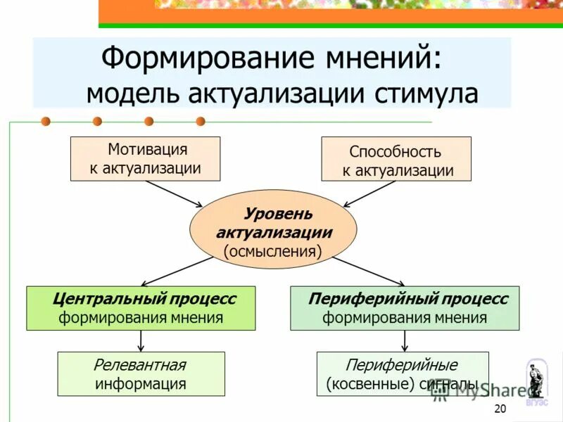 Формирование мнений. Процесс формирования мотива. формирование мнения. периферийные процессы. актуализация модели это.
