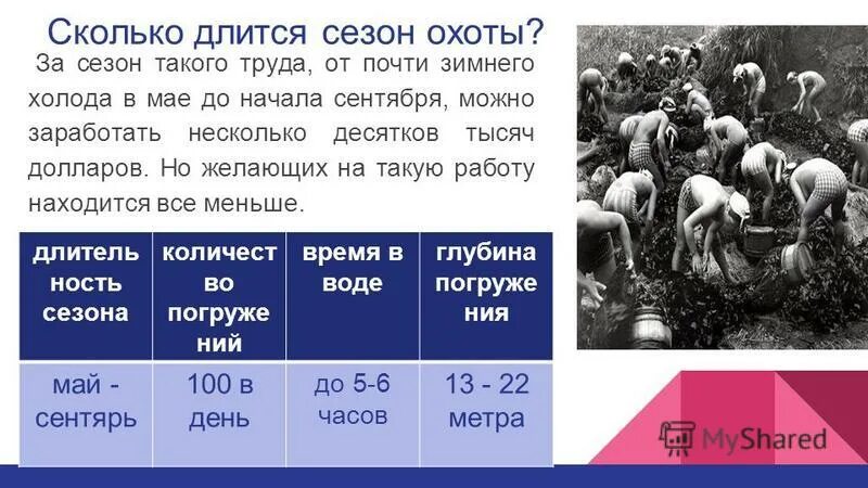 Сколько длится допрос. Сколько длятся уроки в США. Сколько длится. Занятие сколько длится. Сколько длилась в США.