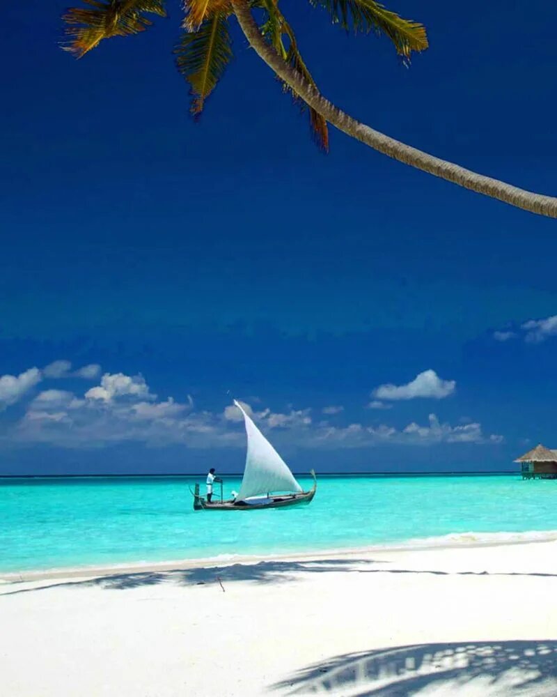 Мальдивы пляж. Райский остров. Райский пляж. Острова и море.