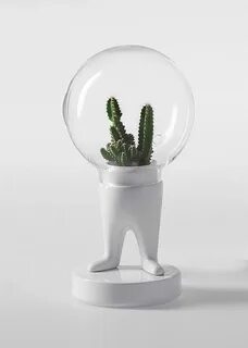 Given plants