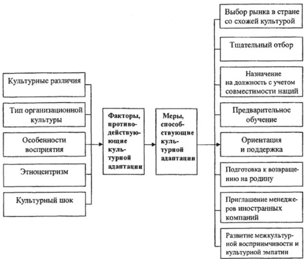 Какие факторы повлияли на культурно исторические различия. Культурная адаптация примеры. Примеры межкультурной адаптации. Факторы культурной адаптации. Факторы межкультурной адаптации.