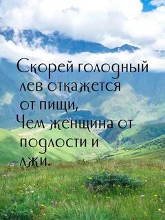 Скорей голодный лев