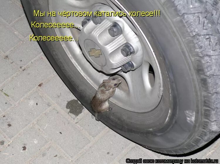 мы на чертовом катались колесе. магомаев карусель. мы на чертовом катались колесе песня. муслим магомаев колесо. мы на чертовом крутились колесе муслим магомаев.