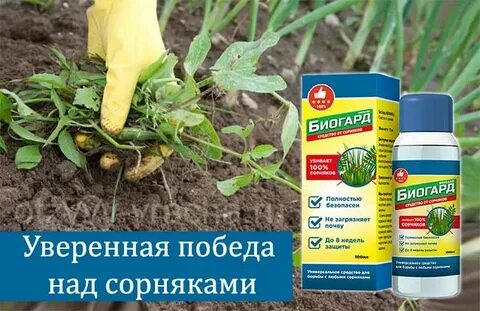 Средство от сорняков эффективное отзывы на огороде