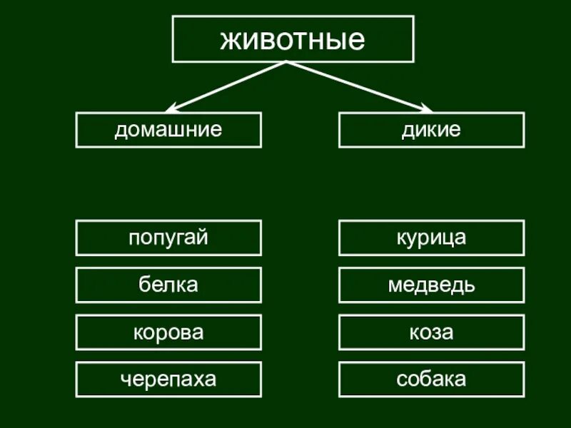 Классификация животных окружающий мир 3 класс. Задание на классификацию животных. Задание на классификацию животных 3 класс. Задания на систематику животных. Классификация животных 3 класс.