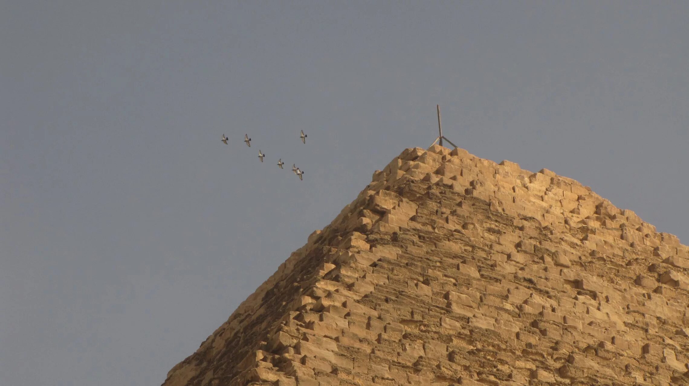 Пирамида грани ребра вершины. Правильная треугольная пирамида. Пирамида 12 вершин. Пирамида 12 вершин. Высота правильного тетраэдра.