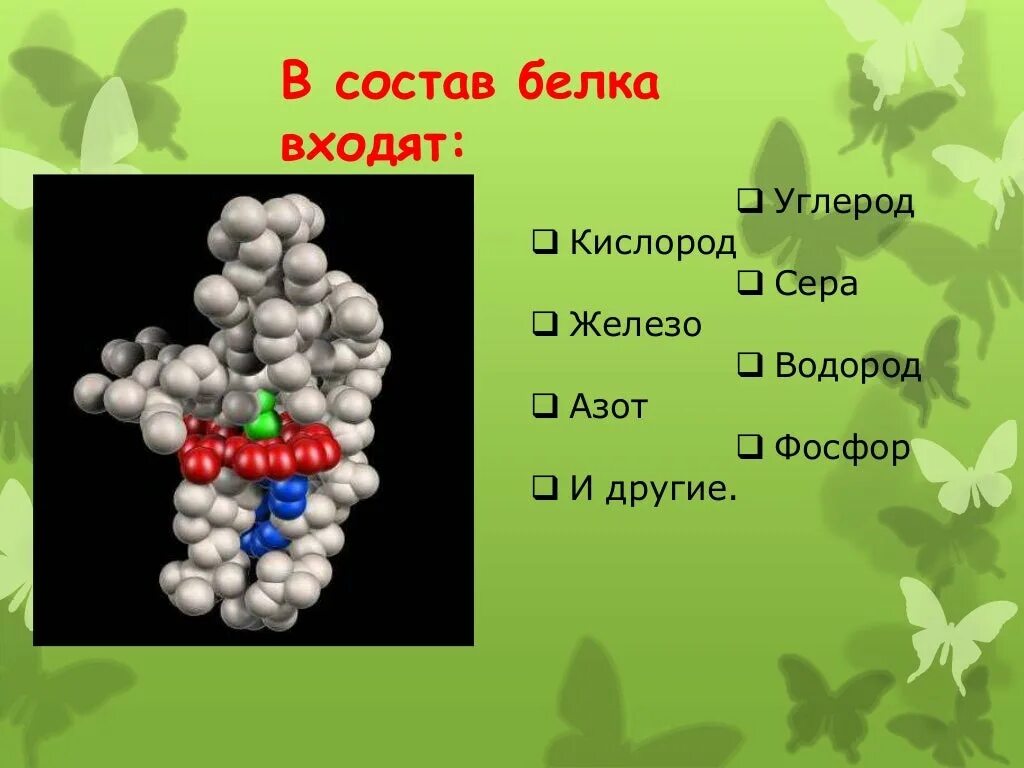 Вещества состоящие из углерода водорода и кислорода