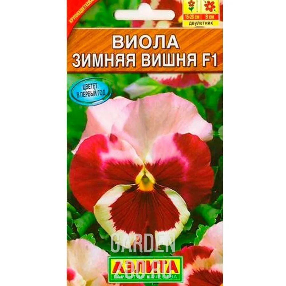 Виола зимняя вишня. Виола виттрока зимняя вишня. виола виттрока клубничный профитроль. виола рогатая рубиново красная. виола красная вишня 0,1 г.