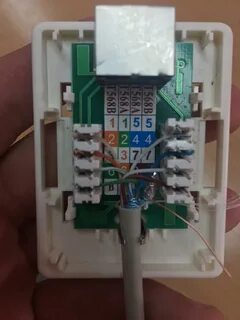 Cat 5e подключение интернет