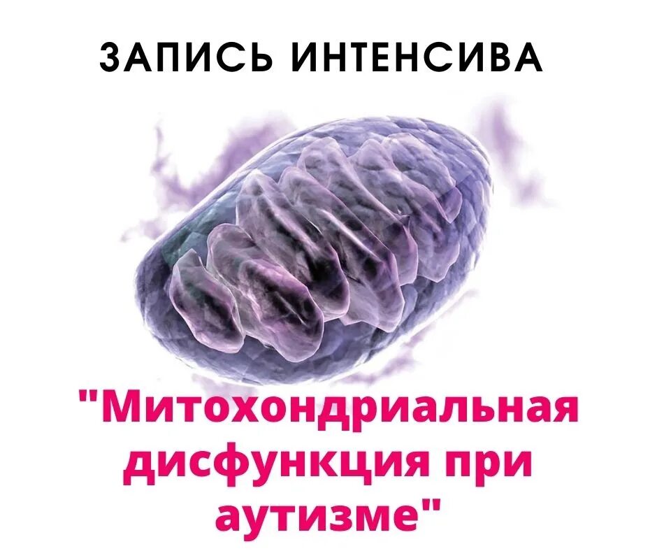 Запись интенсива. Запись интенсива