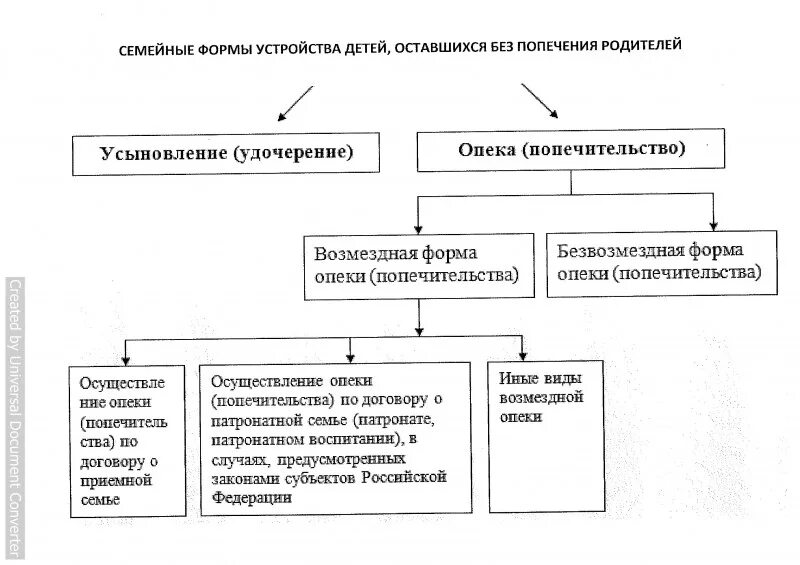 Иные формы устройства детей. Формы устройства детей таблица. формы семейного устройства детей-сирот. формы семейного устройства детей таблица. семейные формы устройства детей оставшихся без попечения родителей.