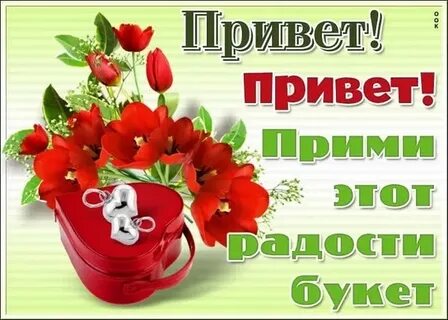 Песня привет дорогая