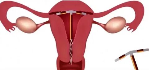 Lea Martini porno filmlarini tomosha qiling