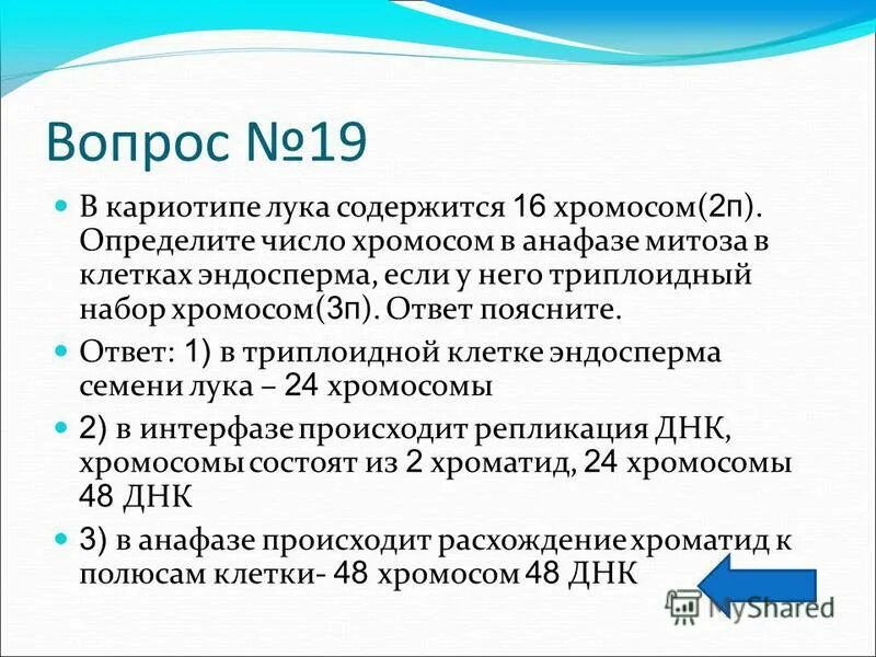 Сколько хромосом содержит клетка эндосперма. Число хромосом в анафазе митоза. Триплоидный набор хромосом эндосперма. Эндосперм набор хромосом и ДНК. Набор хромосом в профазе эндосперма.